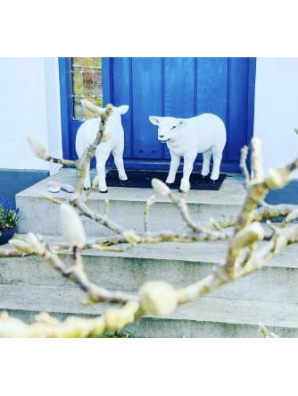 Kundeaften - 11/11-25